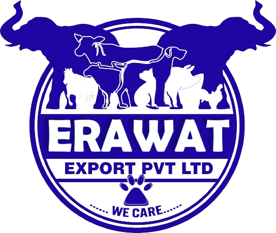 Erawat Exchange pvt ltd